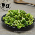 Broccoli-Chips, vakuum gefrorene Gemüse Chips